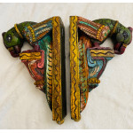  CBW6B Parrot Brackets Big 